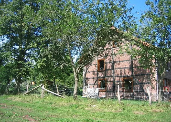 Le Vieux Tilleul