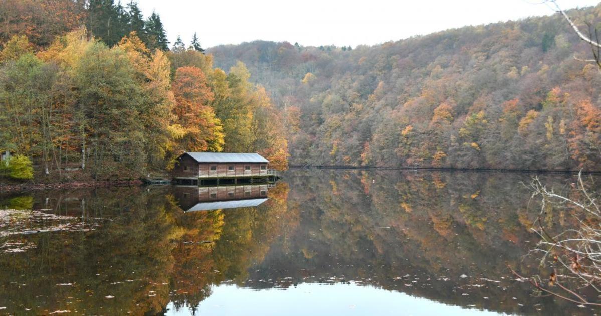 Le Vieux Tilleul Rendeux